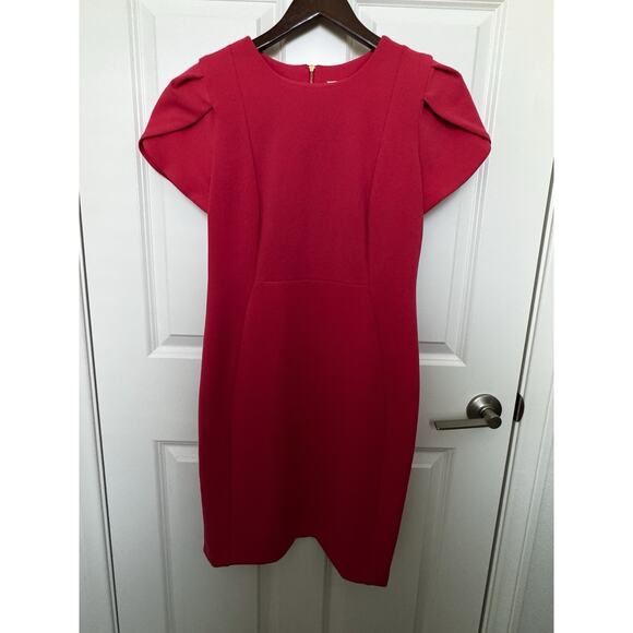 CALVIN KLEIN ORANGE TULIP SLEEVE SHEATH SHORT DRESS GOLD BACK ZIPPER SIZE 6 - Picture 1 of 11